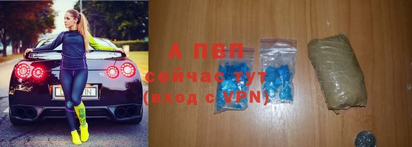 прущие грибы Нижневартовск