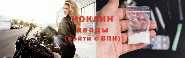 прущие грибы Нижневартовск