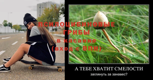 jwh Вяземский