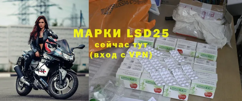 дарк нет какой сайт  Горбатов  LSD-25 экстази ecstasy 